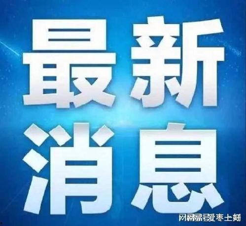 滕州最新爆料消息今天,揭秘今日热点事件背后的真相