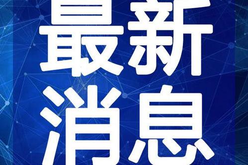 重庆今日爆料新闻,揭秘神秘事件背后的真相