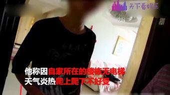 豆花姐邻居爆料视频在线观看,揭秘惊人真相，在线观看引热议