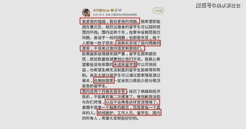 许可馨最新言论被爆料,揭秘其言论背后的真相