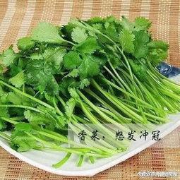 香菜爆料完整视频大全,揭秘完整视频大全背后的精彩瞬间