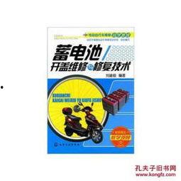 电瓶车充电爆料视频教程,揭秘高效充电技巧与注意事项